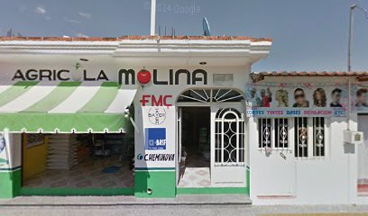 Farmacia Molina