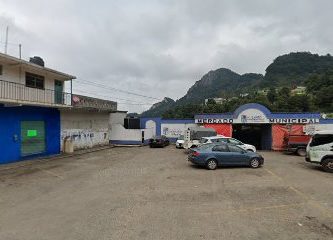 Mercado Municipal Molango De Escamilla Hgo