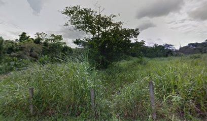 Centro de Desarrollo Comunitario frente al &apos;Parque del Café&apos;