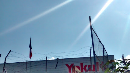 Yakult Agencia Oaxaca