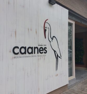 Caanes Medicina Veterinaria Oriental