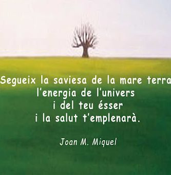 JOAN M. MIQUEL