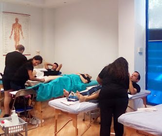 Escuela Superior de Quiromasaje y Osteopatía "Cháman"