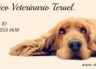 Centro Clínico Veterinario Teruel