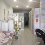 Centro Atelsi osteopatía experto fisioterapia