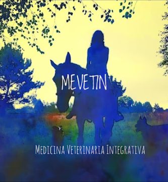 Mevetin