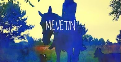 Mevetin