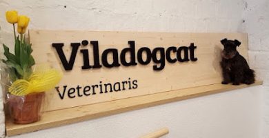 Viladogcat Veterinaris