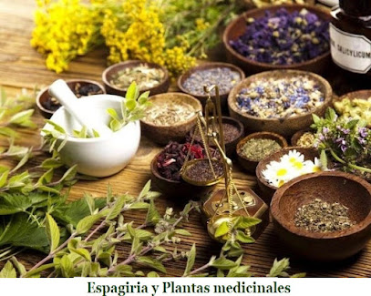 Terapias Medicina Integrativa