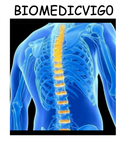 Biomedicvigo Osteópata